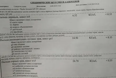 Аллергия у собак и котов — Как проявляется, лечение аллергии — интернет  магазин Лето