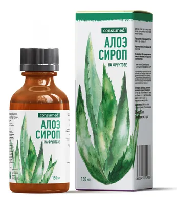 Алоэ Настоящее или Алоэ Вера (Aloe Vera)