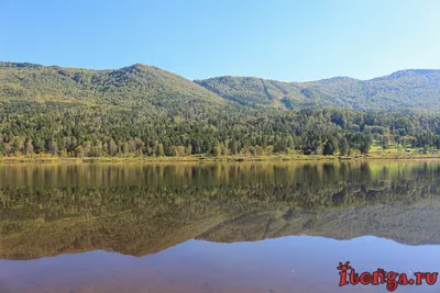 Пейзажи Алтая фото Анатолия Гордиенко | Fototour.org