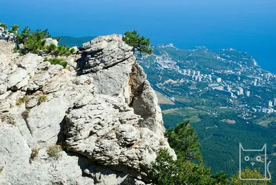 Алупкинский парк. Отзывы, режим работы, фото