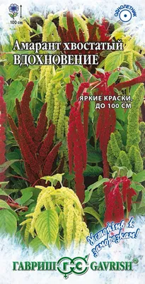 Амарант Хвостатый Ротшванз купить по цене руб. в Москве в садовом центре  Южный