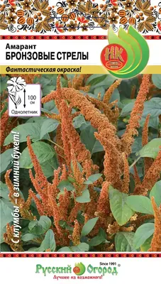 Амарант трехцветный: лучшие сорта, советы по выращиванию | Цветочная поляна  - Все про цветы | Дзен