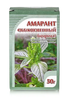 Амарант – отличный сидерат для подпитки почвы - Новини АПК | Головні  фермерські новини України