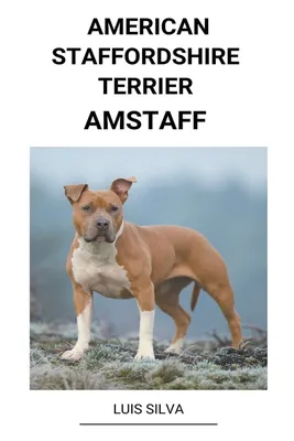 Amstaff American Staffordshire - Kostenloses Foto auf Pixabay - Pixabay