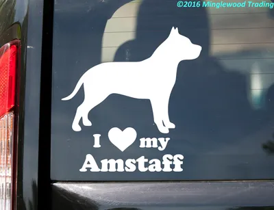 WHITE-amSTAFF Limited Edition