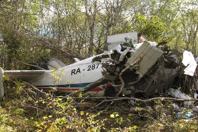 Пассажиров совершившего жесткую посадку Ан-28 доставили в Томск. Фото -  vtomske.ru