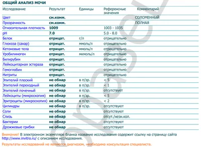Общий анализ мочи – норма у взрослого и ребенка, расшифровка результатов ОАМ