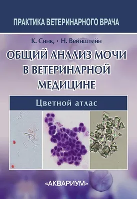 Справка общий анализ мочи 210/у – купить в Москве с доставкой