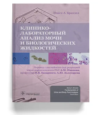 Рекомендации по правилам сбора анализа мочи | Клиника Добрый Доктор г.  Красноярск