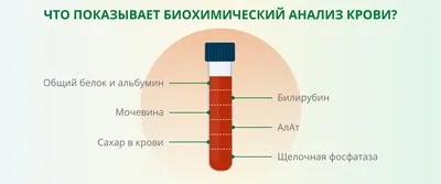 Биохимический анализ крови (Форма 228/у)