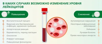 Анализ мочи по Зимницкому (Форма 211у), 100 шт. 📄 купить КопиБланк - КОПИ  БЛАНК