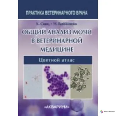 Купить справку анализ мочи по Нечипоренко в Москве по доступной цене