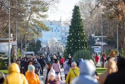 Стала известно программа празднования Дня города в Анапе | 13.12.2023 |  Анапа - БезФормата