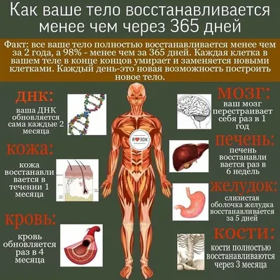 Лекция Вячеслава Дубынина \"ЖКТ и обмен веществ.\"