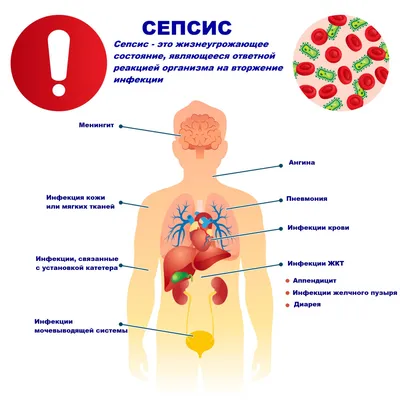 Здоровье: истории из жизни, советы, новости, юмор и картинки — Все посты |  Пикабу