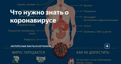 МЛДЦ ТАИС - ПОКАЗАНИЯ ДЛЯ ПРОВЕДЕНИЯ ПРОЦЕДУРЫ Эндоскопию назначают, если у  пациента: -черный или смолистый стул; -рвота кровью; -отрыжка; -чувство  кома пищи за грудиной; -изжога; -анемия неясной этиологии; -боль/дискомфорт  в верхней части