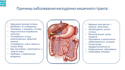 Классификация кишечных стом и осложнения