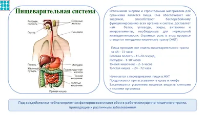 Что нужно знать о коронавирусе | Интересные факты в картинках | Дзен