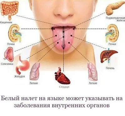 https://ocmp42.ru/nedelya-profilaktiki-zabolevanij-zheludochno-kishechnogo-trakta-21-27-avgusta