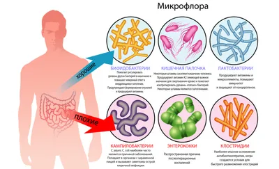 https://ocmp42.ru/nedelya-profilaktiki-zabolevanij-zheludochno-kishechnogo-trakta-21-27-avgusta