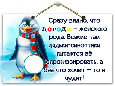 Прикольные картинки анекдоты и всякое такое. - Страница 262 - Общалка - (10  лет) NovFishing: Форум рыбаков и охотников