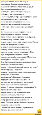 Молодой парень гулял по лесу и заблудился. В конце концов вышел к  маленькойизбушке. Постучав в двер / пошлые анекдоты :: анекдоты / смешные  картинки и другие приколы: комиксы, гиф анимация, видео, лучший  интеллектуальный юмор.