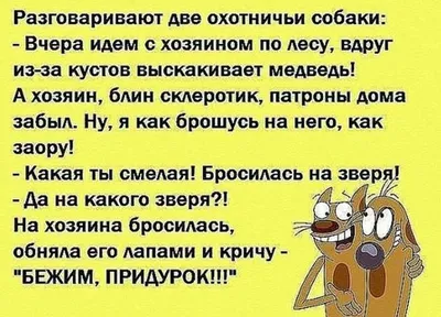 Анекдоты про мужчин: 50+ смешных свежих шуток о представителях сильного пола