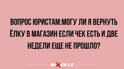 Прикольные анекдоты на вечер и новогодние традиции | Mixnews