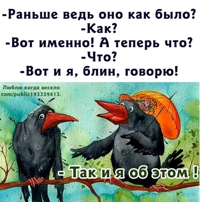 Прикольные картинки анекдоты и всякое такое. - Страница 208 - Общалка - (10  лет) NovFishing: Форум рыбаков и охотников