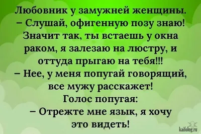 30 очень женских анекдотов, шуточек и мыслей в картинках. Масса юмора и  иронии о загадочной женской душ… | Смешные высказывания, Мудрые цитаты,  Романтические цитаты