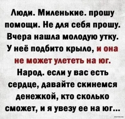 Анекдот в картинках и не только. Выпуск от 23.09.2023 - ВОмске