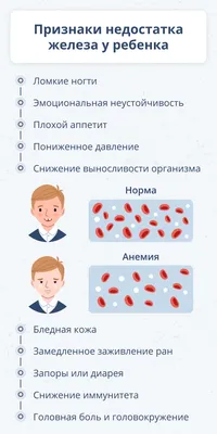 Как повысить гемоглобин в крови в домашних условиях - 11 августа 2022 -  ircity.ru