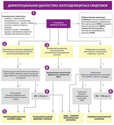 Анемия у детей | Новости | As Clinic | Клиника красоты и здоровья в Астане