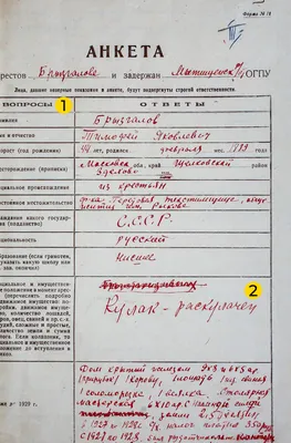 анкета / смешные картинки и другие приколы: комиксы, гиф анимация, видео,  лучший интеллектуальный юмор.