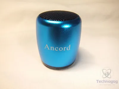 Мешок для сменной обуви для девочки ANCORD ( Анкорд) с дополнительным  карманом на молнии - купить с доставкой по выгодным ценам в  интернет-магазине OZON (1033833575)