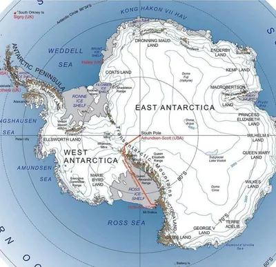 10 фактов об Антарктиде, которые делают ее самым удивительным материком на  земле | 10 фактов | Дзен
