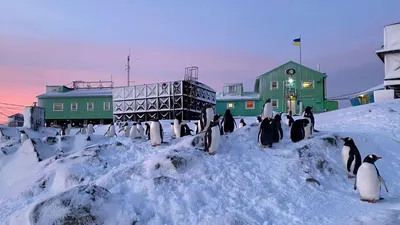 Кому принадлежит Антарктида: подробная карта территории