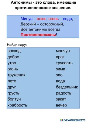 Паронимы, синонимы, антонимы. Русский язык в картинках. Просто и понятно. |  Креативное обучение. Как стать уникальным педагогом | Дзен