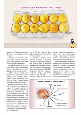 Октябрь — месяц повышения осведомленности о раке молочной железы | Здоровый  подход | Современная медицина | Дзен