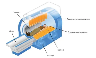 Купить Аппарат МРТ Siemens MAGNETOM ESSENZA 1,5 Тл в Москве по оптовым  ценам - Главмед