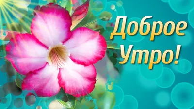 ОбжорЫ | С добрым зимним утром❤❤❤ | Facebook