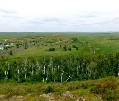 Аркаим / Реклама и промо / Меркатор