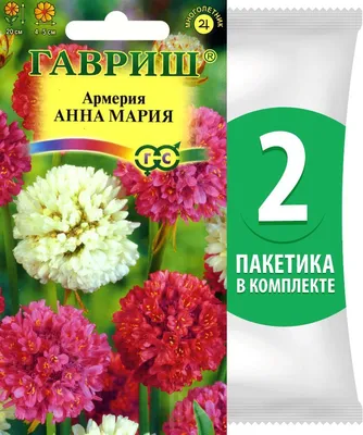 Купить саженцы Армерии приморской 🌱по цене от 290₽ из питомника с  доставкой | Питомник «Зелёная Фазенда»