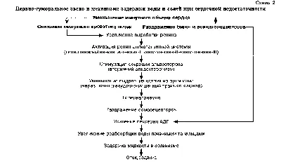 Асцит у кошек и котов: симптомы и лечение