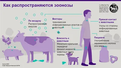 Почему болезни правят миром. Новейшие открытия в области генетики которые  перевернут современные представления об эволюции (Моалем Шарон , Чорный  Иван (переводчик)) Эксмо (ISBN 978-5-04-089979-1) купить от 322 руб в  Старом Осколе, сравнить