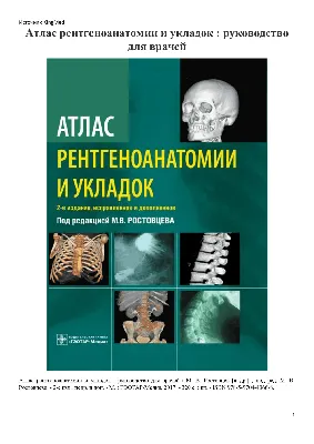 Анатомия Человека. Атлас-раскраска | PDF