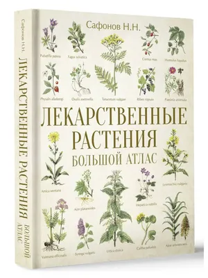 С 4 ПО 10 СЕНТЯБРЯ НЕДЕЛЯ ПРОФИЛАКТИКИ КОЖНЫХ ЗАБОЛЕВАНИЙ. –  Государственное бюджетное учреждение Ростовской области