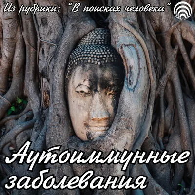 Аутоиммунные заболевания в неврологии В.В. Пономарев (ID#1526273126), цена:  535 ₴, купить на Prom.ua