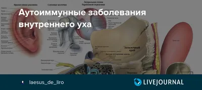 Друзья, начинаем научно-практическую конференцию «Аутоиммунные заболевания:междисциплинарные  вопросы» #аутоиммунные заболевания | Instagram