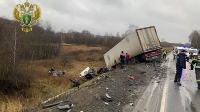 В Подмосковье в ДТП с грузовиком погибли четыре человека - РИА Новости,  15.12.2021